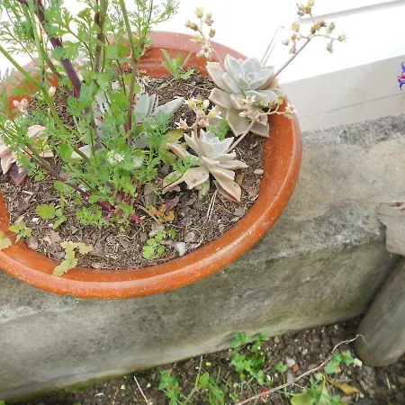 Vakantiehuis Moradias Ode Odeceixe