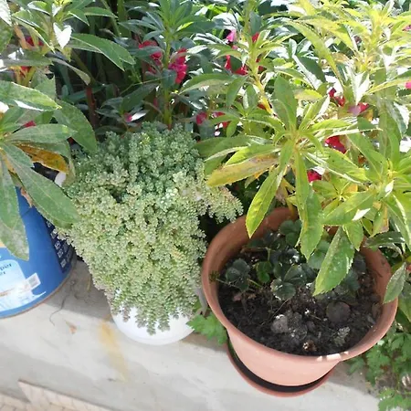 Moradias Ode Casa vacanze