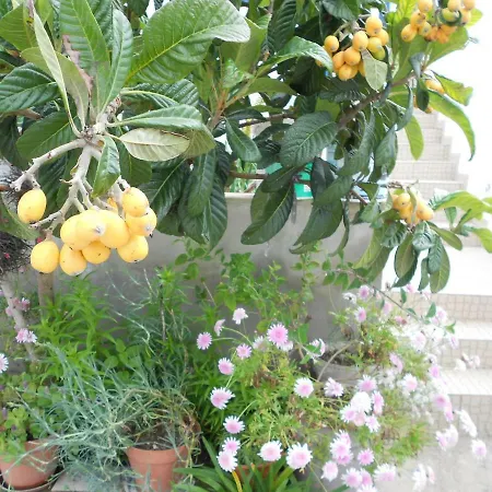 Moradias Ode Tatil Evi *